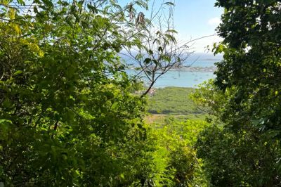 Lush vegetation and blue sea horizon