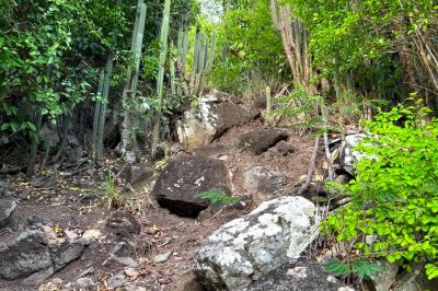 Get ready for a steep hike!