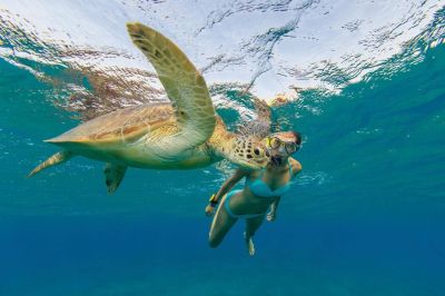 Snorkeling the coast of Orient Beach